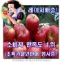 [공주네농장] (떠오르는상품)경북 청송 가정용 흠과 햇 사과 실속형, 1박스, [공주-10] 가정용흠과 사과 10kg/중과