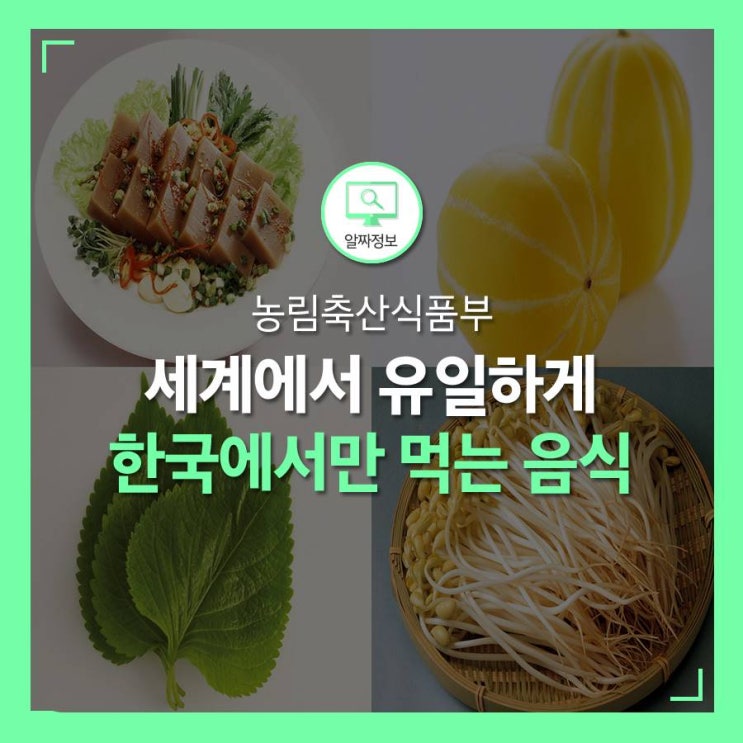 이걸 안 먹어? 세계에서 유일하게 한국에서만 먹는 음식 : 네이버 블로그