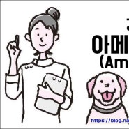 [ 강아지상식 ] 일본과 미국의 개량종 아메리칸 아키다 역사와 특징