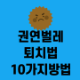 권연벌레 10가지 퇴치법