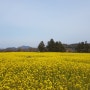 제주구좌읍 숲길 '팔자좋아길' 나만알고싶은 숲길