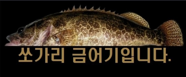 Go Fishing #27: 금어기 소양강 쏘가리 낚시 (인제) (3) : 네이버 블로그