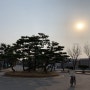 [벚꽃 나들이]_ 고향 친구들과 꽃놀이 드라이브(익산 수파크, 서동공원)