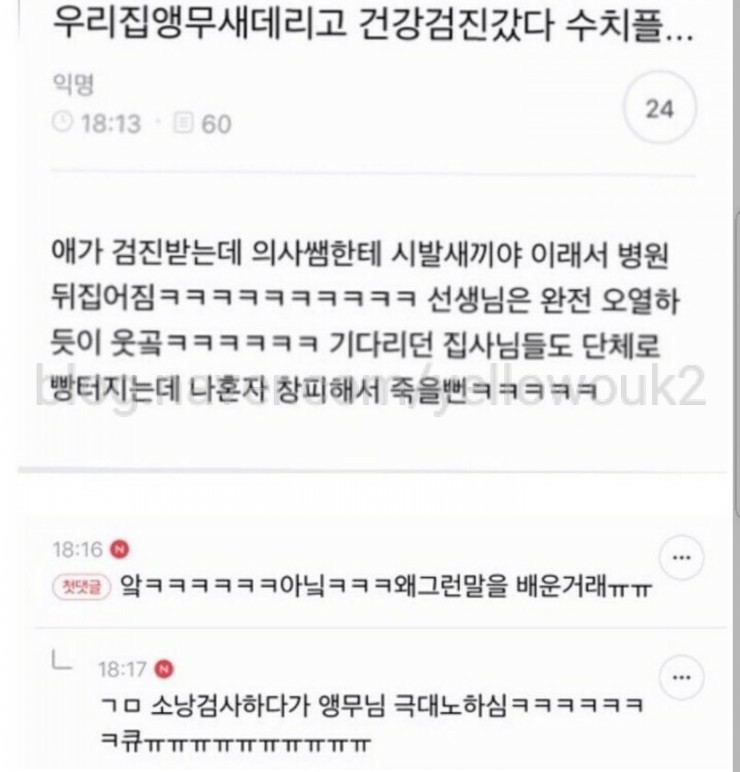 8) 웃긴썰모음ㅋㅋㅋ 웃긴사진/ 귀엽고웃긴동물썰 / 웃긴거 모음 100장 이상!!! : 네이버 블로그