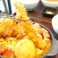 김해공항맛집 맛있는 건강식 카레 : 와카바