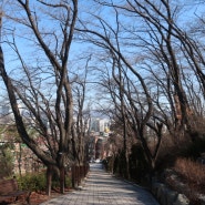 대전 보문산 충남대병원 앞 작은 높은? 공원 테미공원 늦겨울 모습