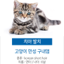 고양이 구강 검진 - 만성 구내염 치료하고 컨디션 회복!