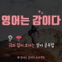 [마감] 라푼젤 영어 쉐도잉, #영감프로젝트 체험특강 모집합니다 :)