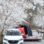 홍천 산으로 캠핑장 벚꽃 캠핑 행복했던 시간