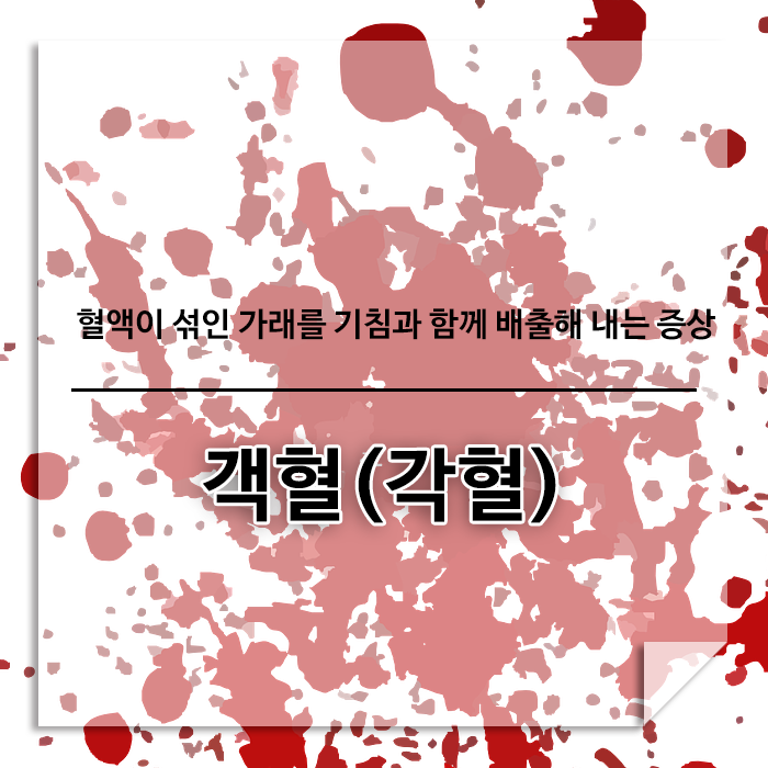 객혈(각혈) 원인과 증상 치료방법은? : 네이버 블로그