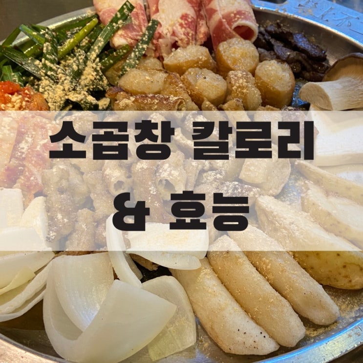 소곱창 칼로리 & 효능 알아봐요!! : 네이버 블로그