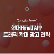 [퍼틸레인] 현대Hmall APP 트래픽 확대 광고 전략