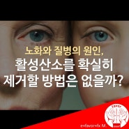 노화와 질병의 원인, 활성산소를 제거하는 방법은 없을까?