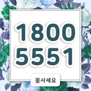 56000원꽃배달 당일에 필요하다면?