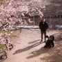 [베를린 일상] 베를린에서 즐기는 조용한 봄날