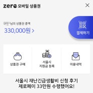 서울시 재난긴급생활비 신청하고 제로페이 33만원 수령 완료!