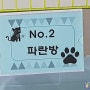 똘똘이 이야기 -한국동물보호협회