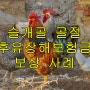 슬개골 골절 후유장해보험금 보상 사례