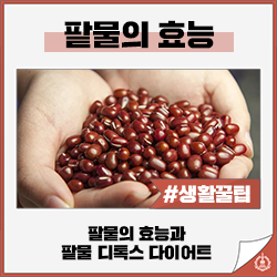 [생활꿀팁] 팥물의 효능과 팥물 다이어트 : 네이버 블로그