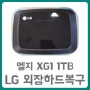 오래된 외장하드 인식불가증상 데이터살리기! LG XG1 1TB