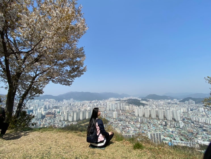 배산 등산로그 :: 배산 정상까지 1시간 컷가능! : 네이버 블로그