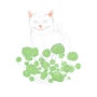 초록이와 잘어울리는 고양이