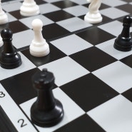 다이소 추천템 자석 체스두는법