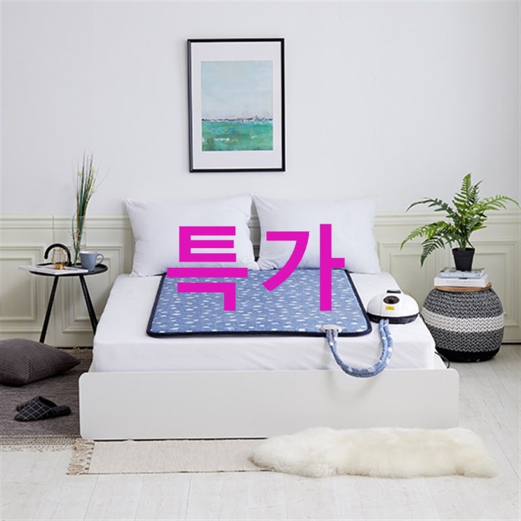 한일의료기 프리미엄 온수매트 브로이~ 평점 좋네요 : 네이버 블로그