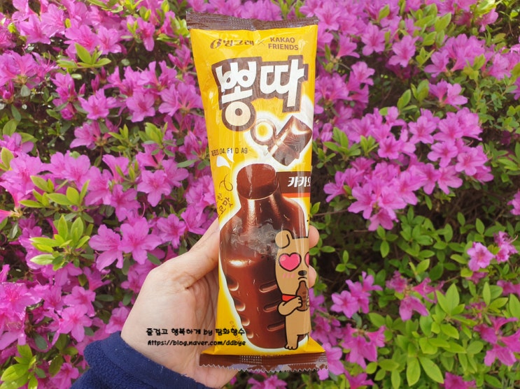 [아산롯데슈퍼] 신상품 뽕따 카카오! 빙그레와 카카오프렌즈의 콜라보레이션! 진한 맛이 괜찮네요! : 네이버 블로그