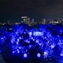 [후쿠오카 여행] Day2. 팀랩 후쿠오카 성터 빛의 축제 (2020.01)
