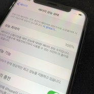 번개장터 배터리 100% 아이폰xs 64G