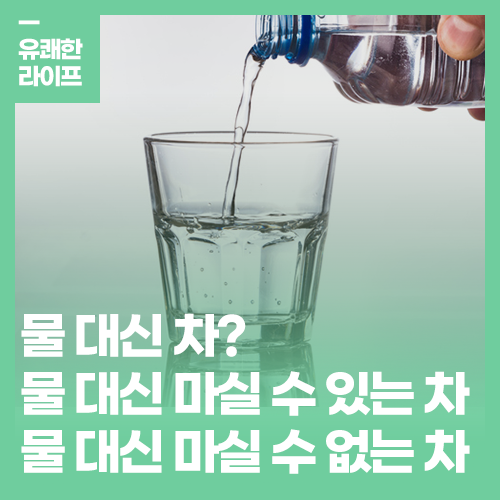 물 대신 차? 물 대신 마실 수 있는 차 VS 물 대신 마실 수 없는 차 : 네이버 블로그