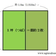 일본 에도시대의 넓이 단위