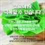 강원도 산나물 팔아주기 이벤트 - 강원도 곰취 (feat. 강원곳간)