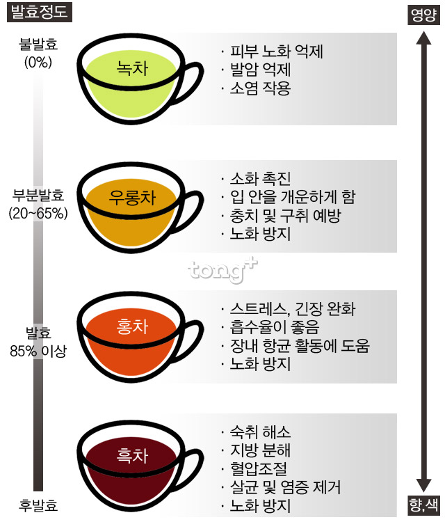 차(茶)의 종류와 효능 : 네이버 블로그