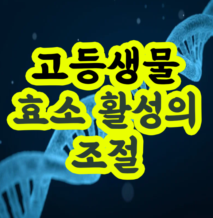 효소 - 효소 활성의 조절 : 네이버 블로그