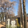 [선유도공원] 서울선유도 봄맞이 산책하기 좋은곳