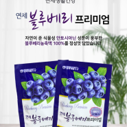 연세블루베리프리미엄60ml*30포