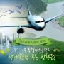 국내 공항 사례로 보는 경기남부 통합국제공항과 생태환경 공존 방향은?