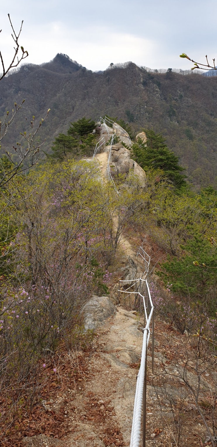 [명산기행 215번째] 한북정맥_4구간_원통산_청계산 산행기 : 네이버 블로그