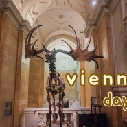 #vienna 2일차_ 자연사 박물관 둘러보기(2)
