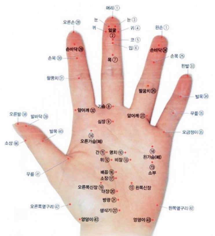 손 지압점 손 혈자리 손바닥 부위별 동영상 : 네이버 블로그