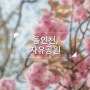 [인천] 봄날 동인천 자유공원 산책
