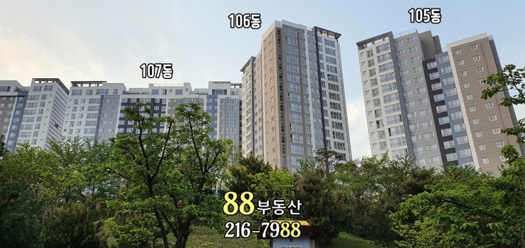 성복역 신축아파트 롯데캐슬 파크나인 1차 전세는 지금! : 네이버 블로그