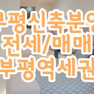 부평 신축아파트 부평역세권 신축분양 3룸/4룸 인천에서인기있는집 다인팰리스 첫입주가능
