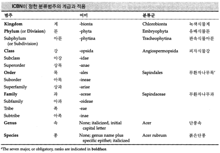 식물의 분류단위와 계통에 대해서 공부해볼까요? : 네이버 블로그