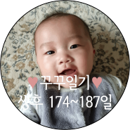 [육아일기] 생후 174~187일/ 이유식 거부/ 친정살이