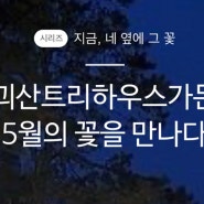 괴산 트리하우스가든에서 만난 7가지 5월의 꽃