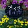 한국의제비꽃전자책