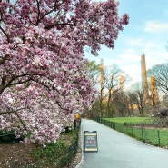 쉬는날 일상 feat. daily dose of central park